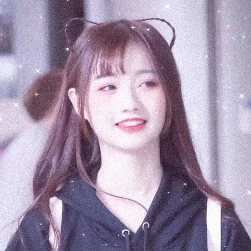 极岛森林第二季